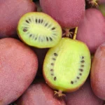 Actinidia arguta 'Bingo' (Femelă) - Kiwi de Siberie