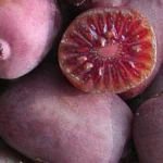 Kiwi arguta Ken's Red (femelă) - Actinidia arguta - imagine 2