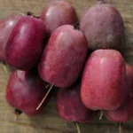 Kiwi arguta 'Purpurna Sadowa' (femelă) – Varietate feminină ucraineană de Mini Kiwi