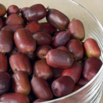 Kiwi arguta Scarlet September Kiwi® (femelă) – Actinidia arguta - imagine 4