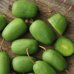 Kiwi arguta VITIKIWI® - Actinidia arguta (Kiwi de Siberia) - Plantă Autofertilă în Ghiveci de 2L - imagine 2